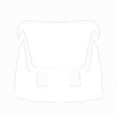 JOURNAL